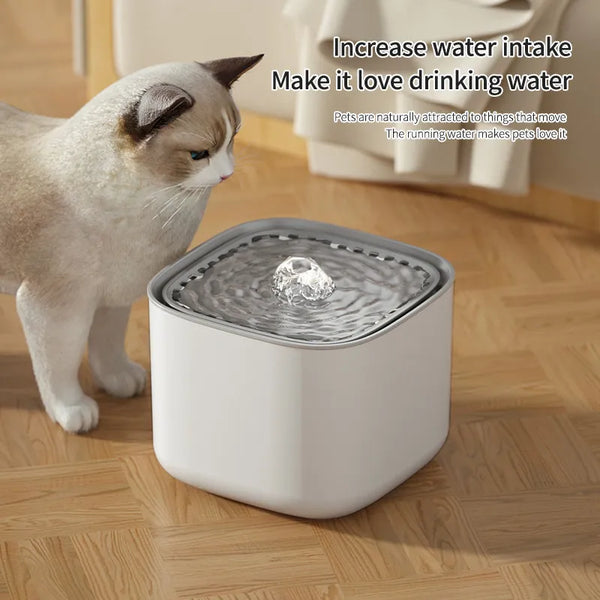 fonte de água para pet elétrico usb