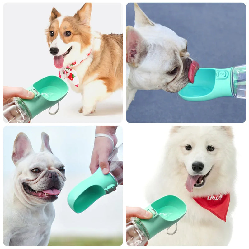 Garrafa de água portátil para Pets